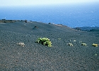 In der Umgebung des Vulkans Teneguia, im Süden der Insel : Lavagries, Farben